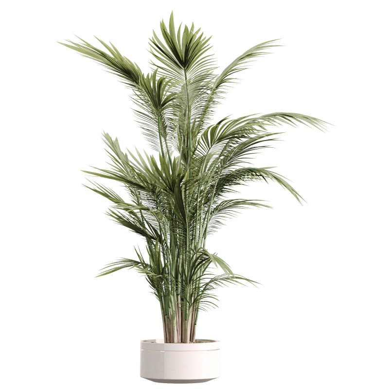 AV Indoor Plant Set 216 Olive Artificial Dracaena Warneckii Lemon Calathea Lutea Areca Palm - Image 2