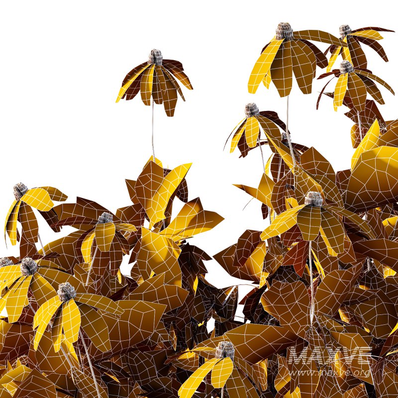 Different bush 06 - Image 3