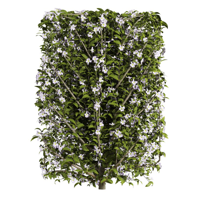 bush plants set - Image 2