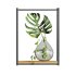 plants set on shelf - Thumbnail 2