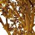Betula Pendula Tree 04 - Thumbnail 4