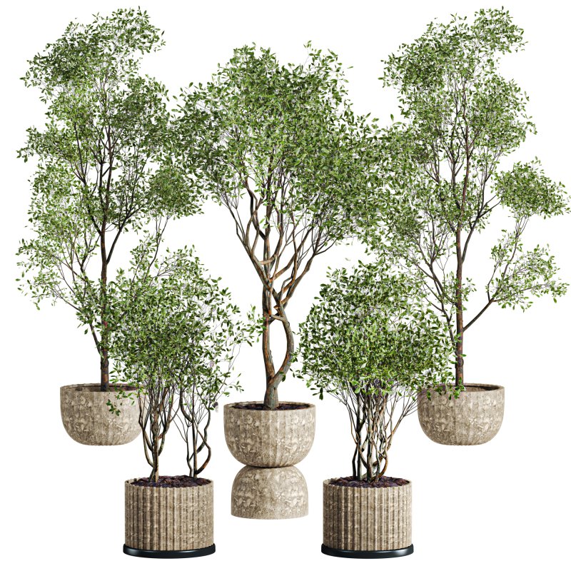 tree set - Image 1