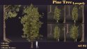 SJ-lowpoly pine tree set 02 - Thumbnail 3
