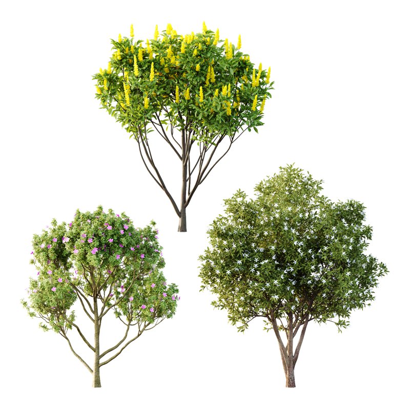 Different Trees 01 - Image 3