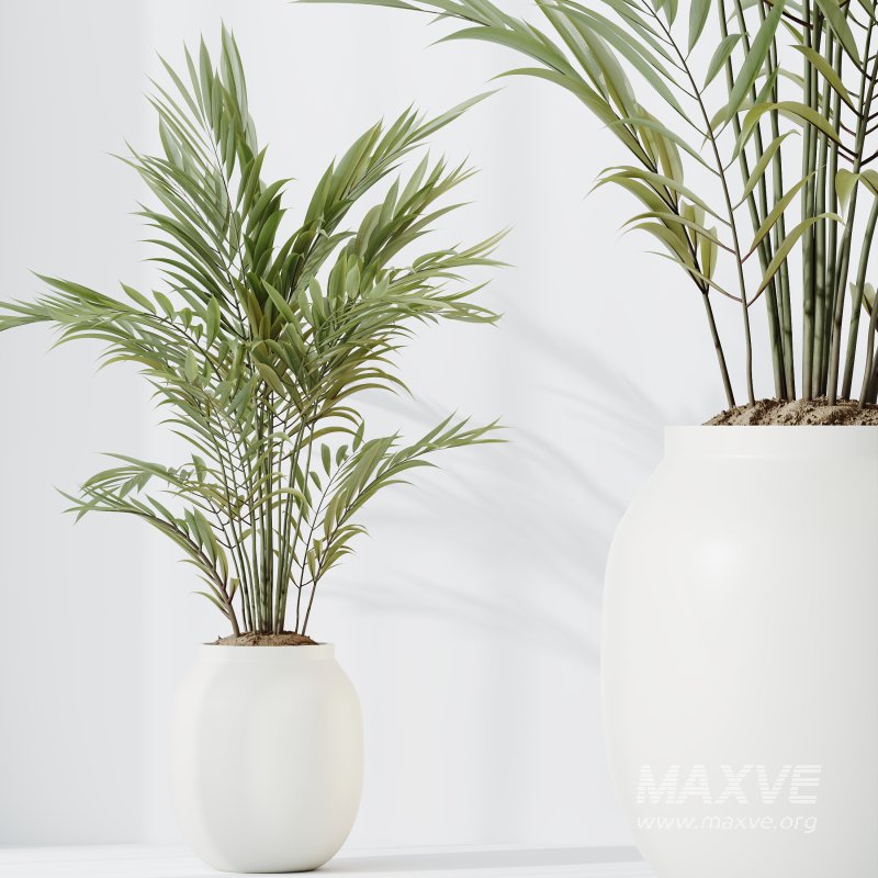 AV Indoor Plants Set 232 Branche Decorative and Bird Of Paradise and Ficus Elastica and Pelagio Palm - Image 5