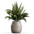 The AV Indoor Plants Set 219 - Thumbnail 5