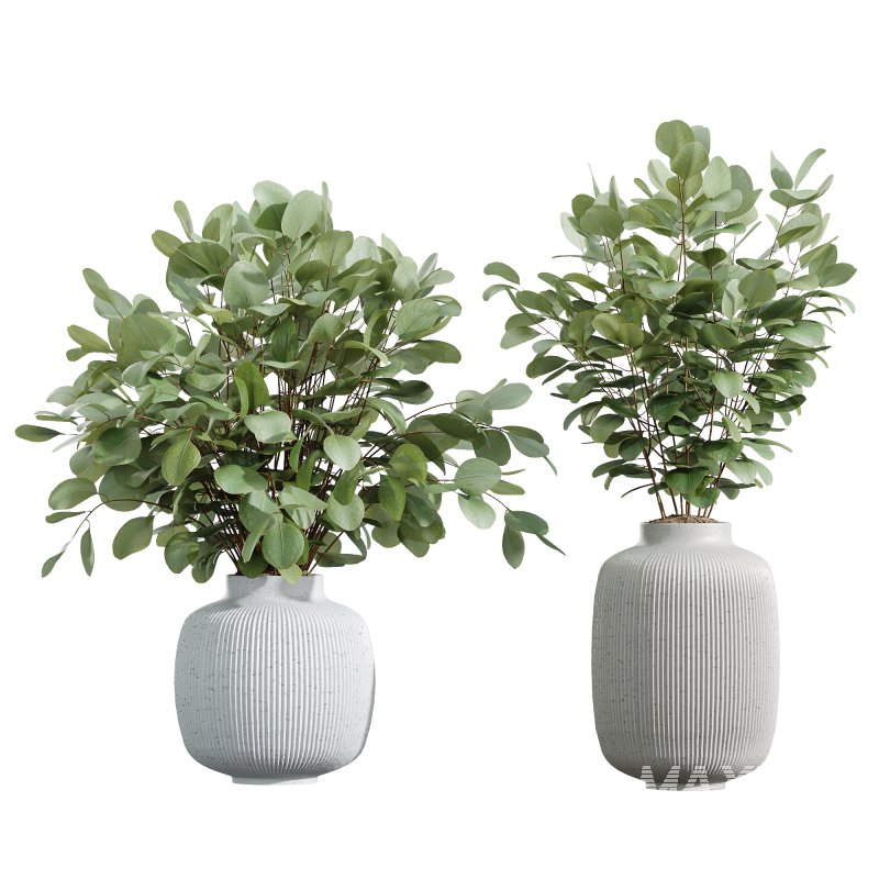AV Indoor Plants Set 232 Branche Decorative and Bird Of Paradise and Ficus Elastica and Pelagio Palm - Image 2