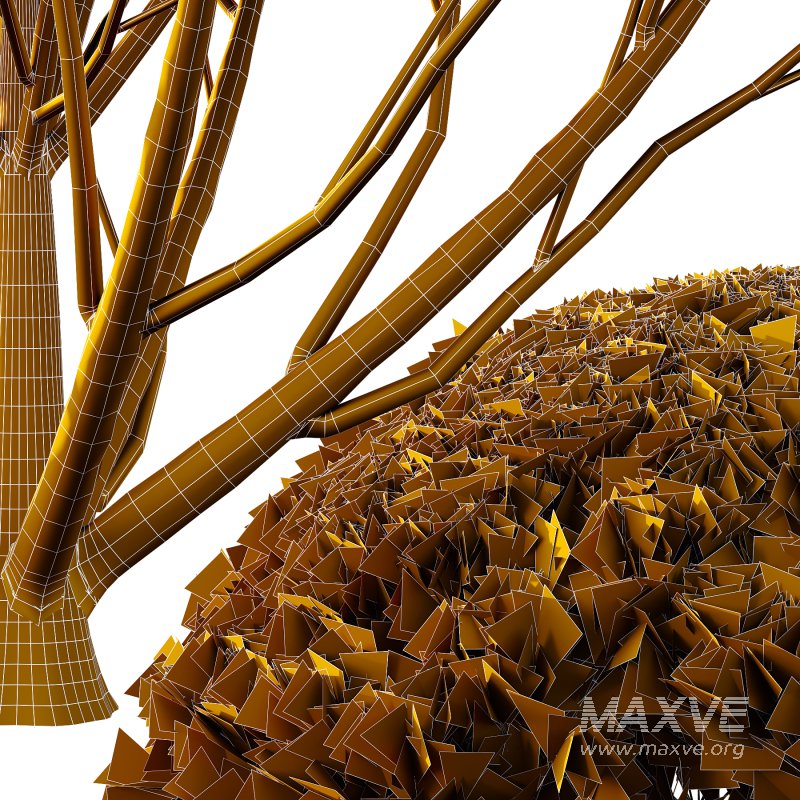 Pinus Mugo Bush001 - Image 3