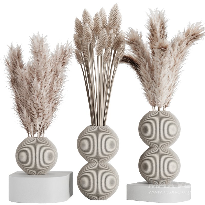 Dry branch set52 - Image 1