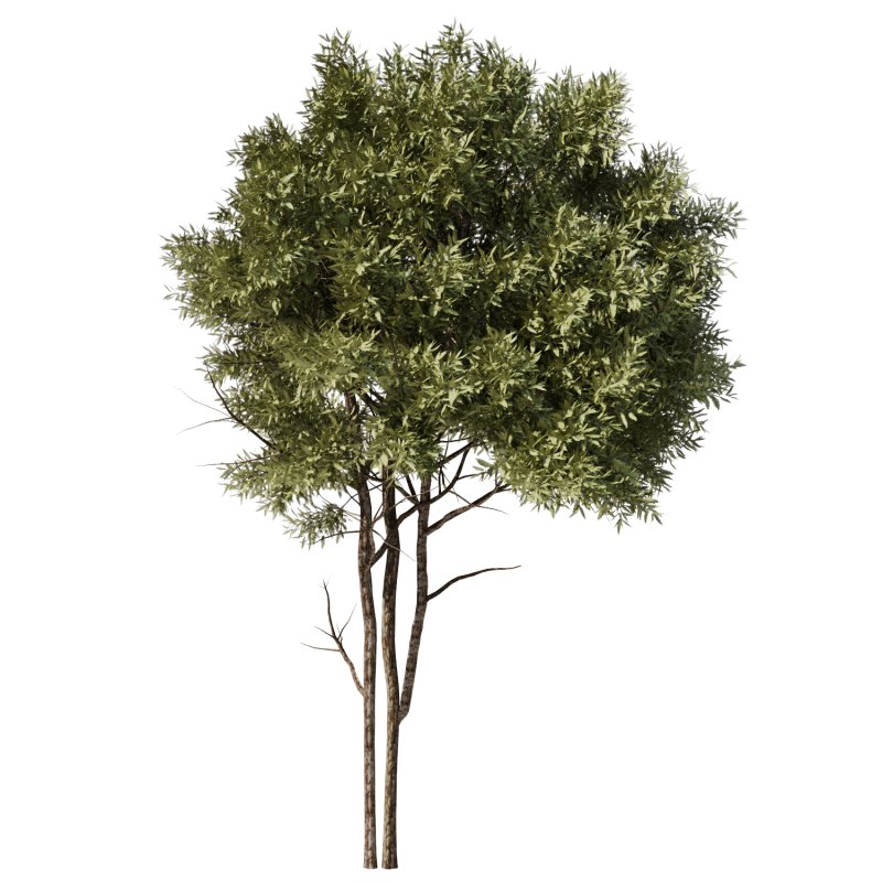 Tree Set32-Urban tree - Image 3