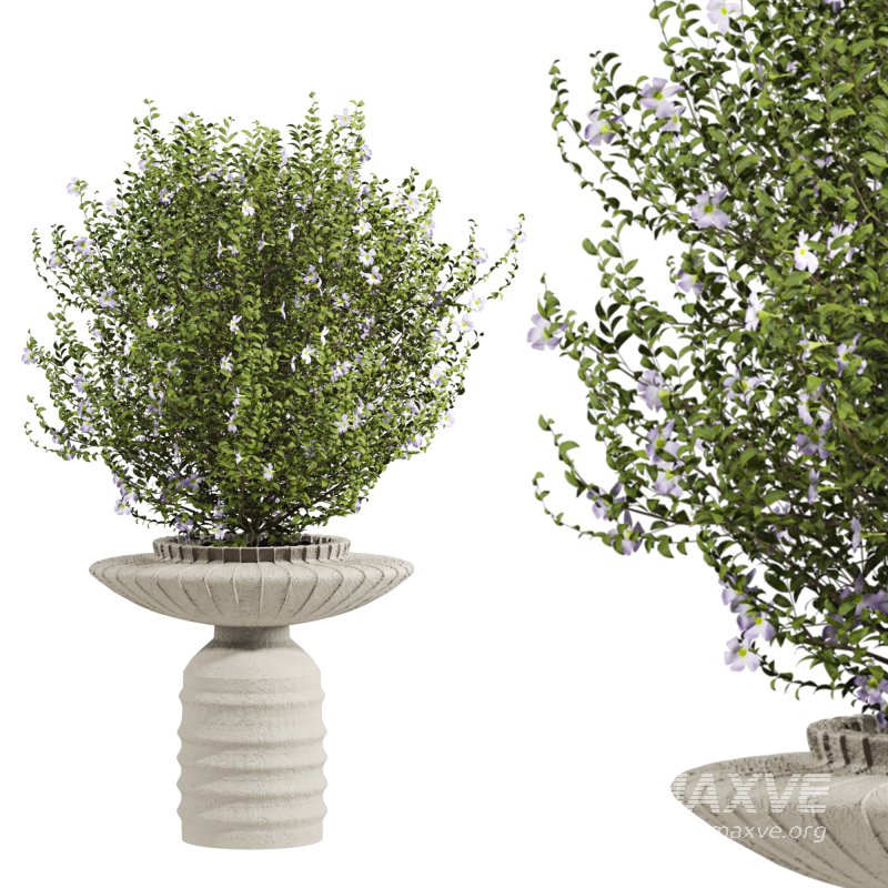 bush plants set - Image 3