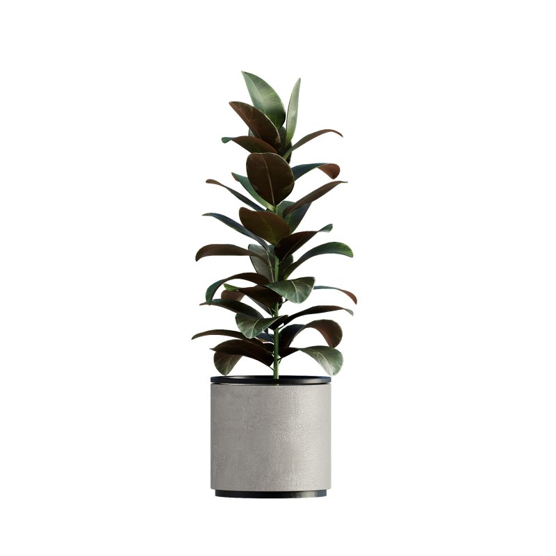 13 High Quality 3D Pot plants - Image 10
