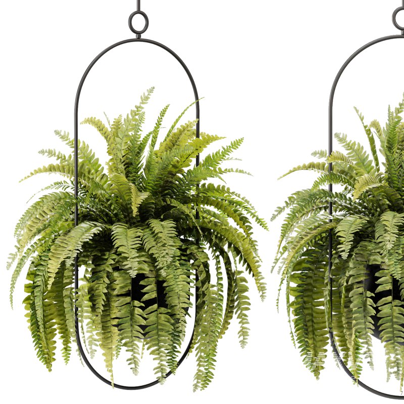 Hanging Houseplants in Metal Frames Set - Image 2