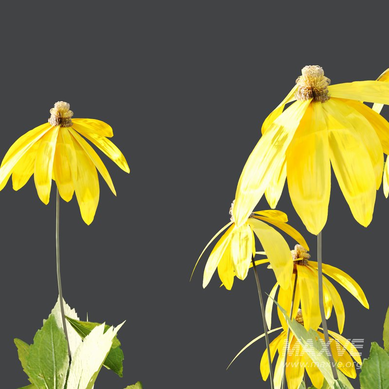 Different bush 06 - Image 2