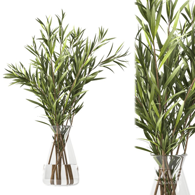 bouquet 01 - Image 1