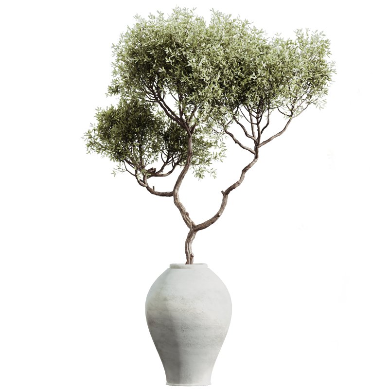 ntal, and fruit-bearing plants adds both texture and color variety to interior renders. - Image 1