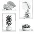 plants set on shelf - Thumbnail 5