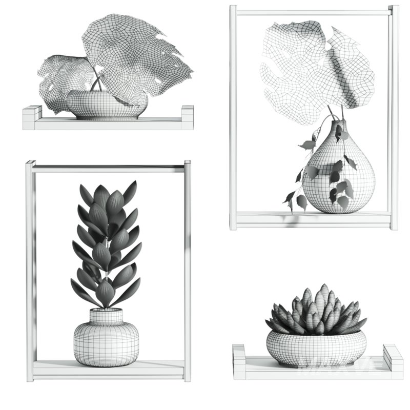 plants set on shelf - Image 5