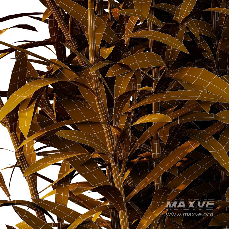 Different Grass 02 - Image 1