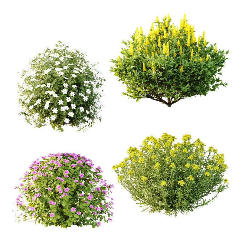 Different bush 09 - Image 1