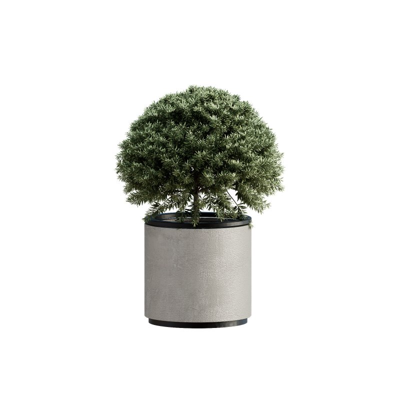 13 High Quality 3D Pot plants - Image 4