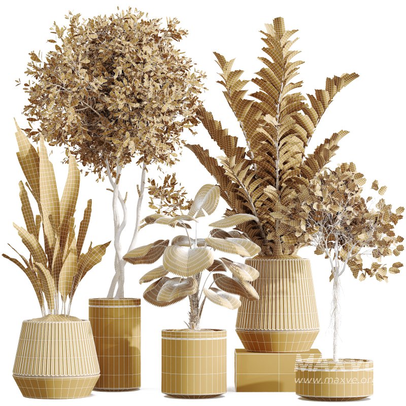 AV Indoor plants set 207 Olive Artificial and Zamiifolia Aracea and Aspidistra Elatior and Licuala Grandis and Ficus Benjamina - Image 5