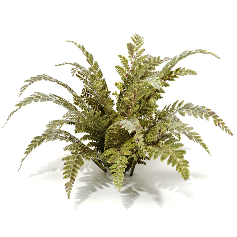 Tropical Crocodile Fern Decorative Bush - Image 7