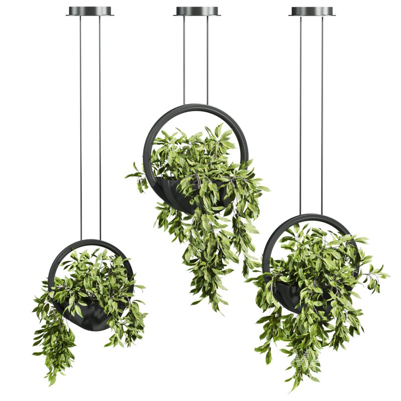 plants set - Image 3