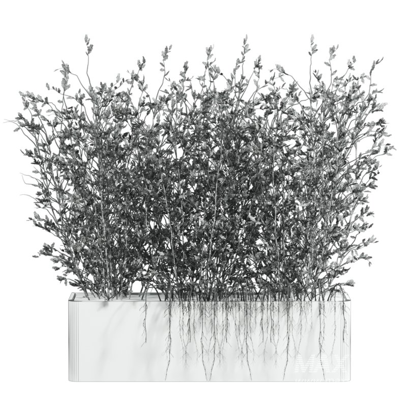 potted plant - Image 3