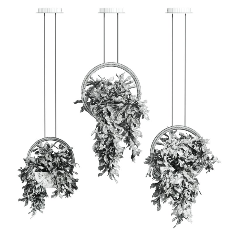 plants set - Image 2