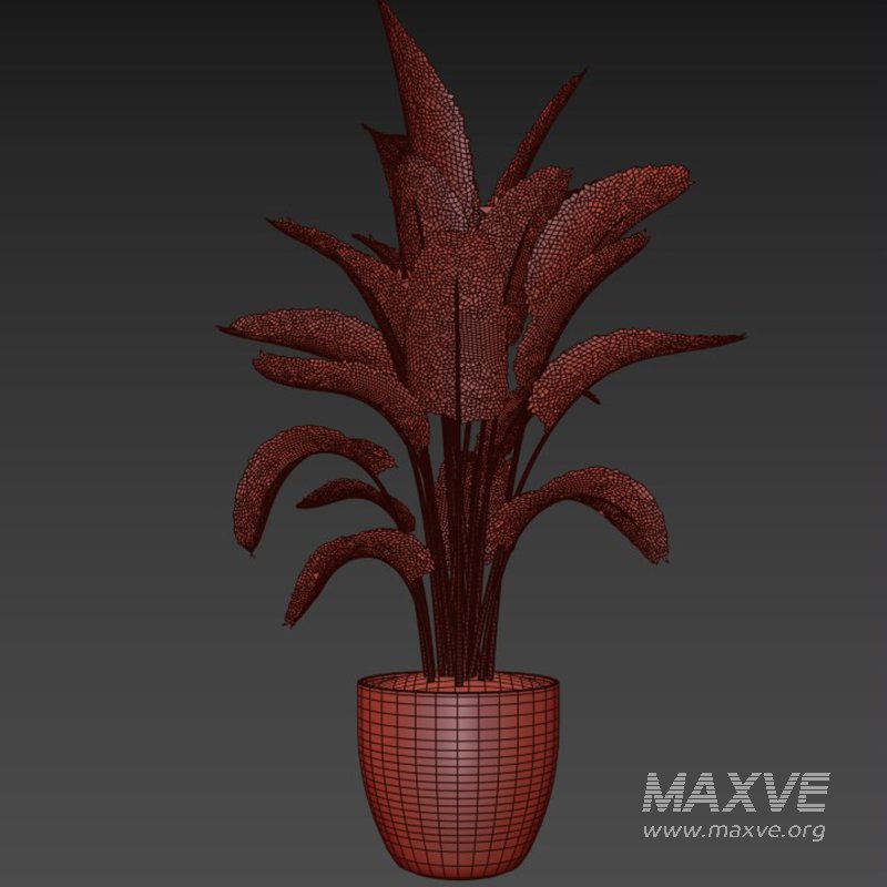 indoor plant 03 - Image 5