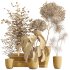 AV Indoor Plants Set 226 Mission Olive and Alnus Glutinosa Alder and Yucca Aloifolia Palm and Cunjevoi Alocasia Jardin - Thumbnail 7
