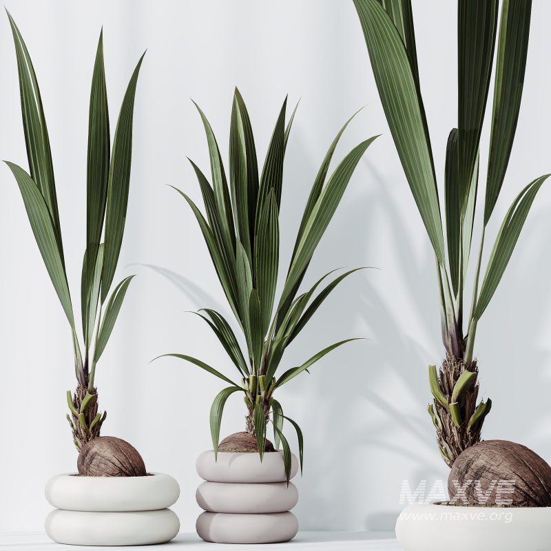 ntal olive—making this collection a visual statement for modern interior design. - Image 7