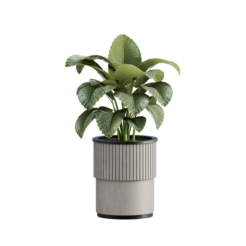 13 High Quality 3D Pot plants - Image 5