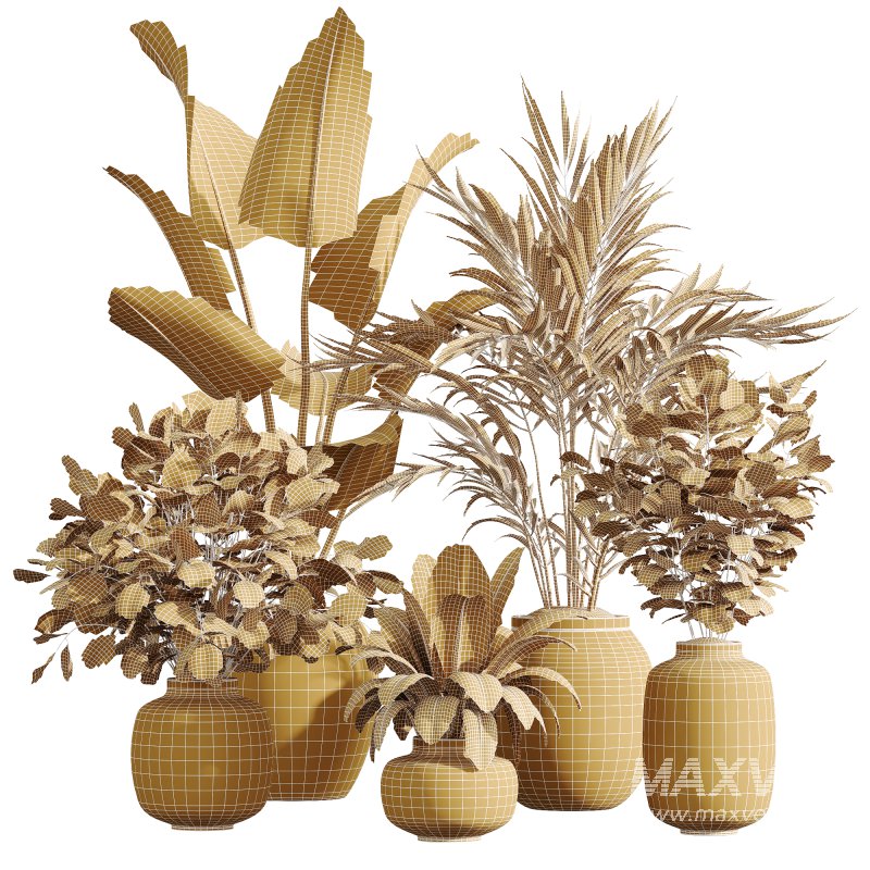 AV Indoor Plants Set 232 Branche Decorative and Bird Of Paradise and Ficus Elastica and Pelagio Palm - Image 9