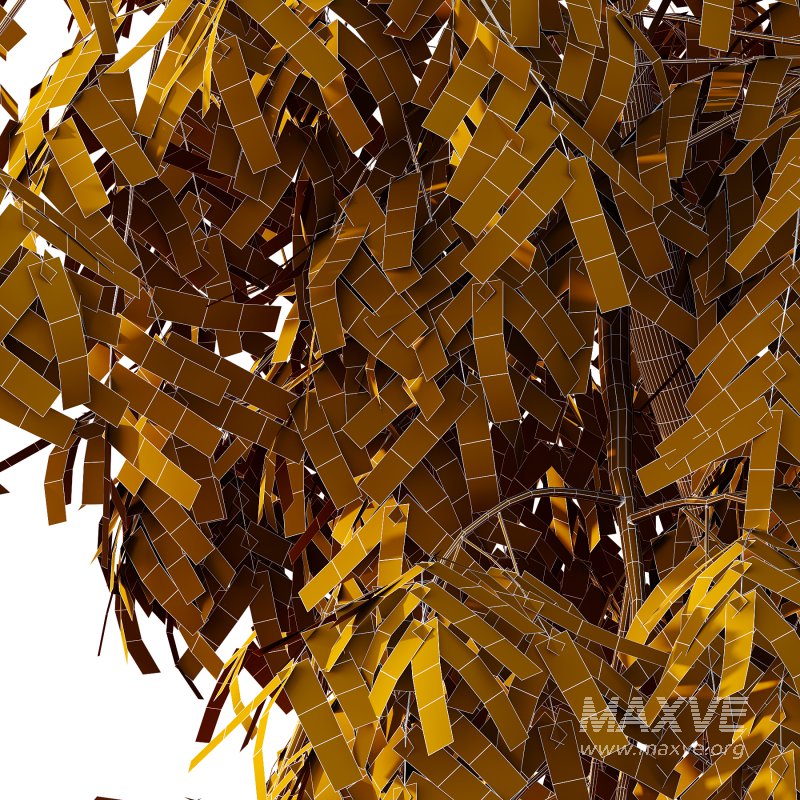 Bamboo Bambusoideae Tree 02 - Image 6