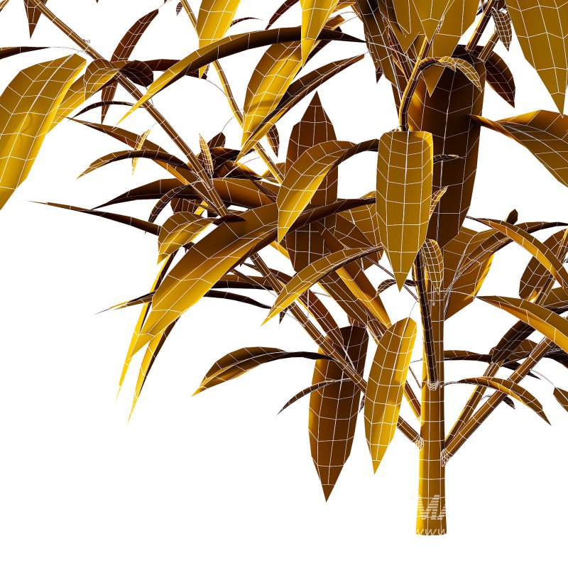 Different bush 08 - Image 6