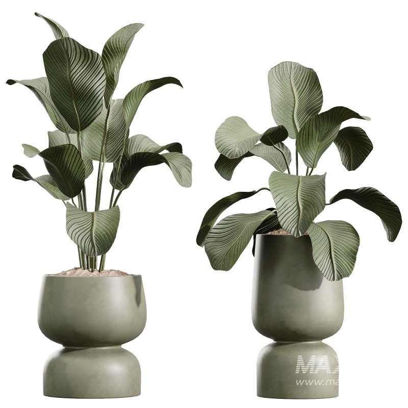 AV Indoor Plant Set 216 Olive Artificial Dracaena Warneckii Lemon Calathea Lutea Areca Palm - Image 3