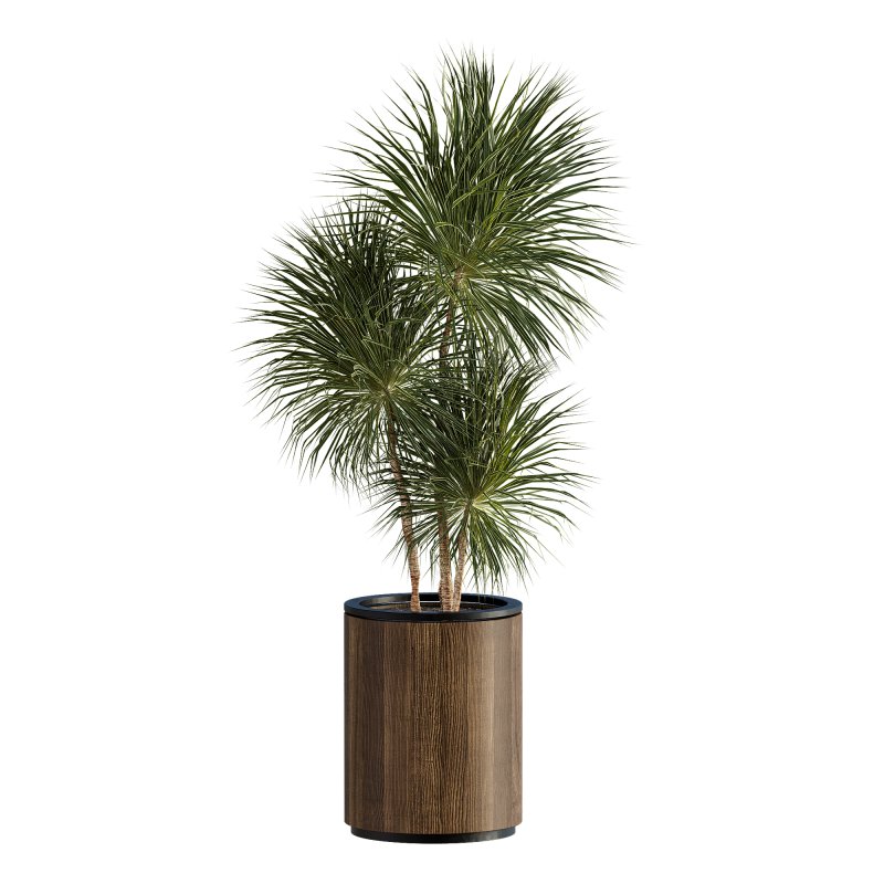 13 High Quality 3D Pot plants - Image 1