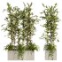 plants set - Thumbnail 1