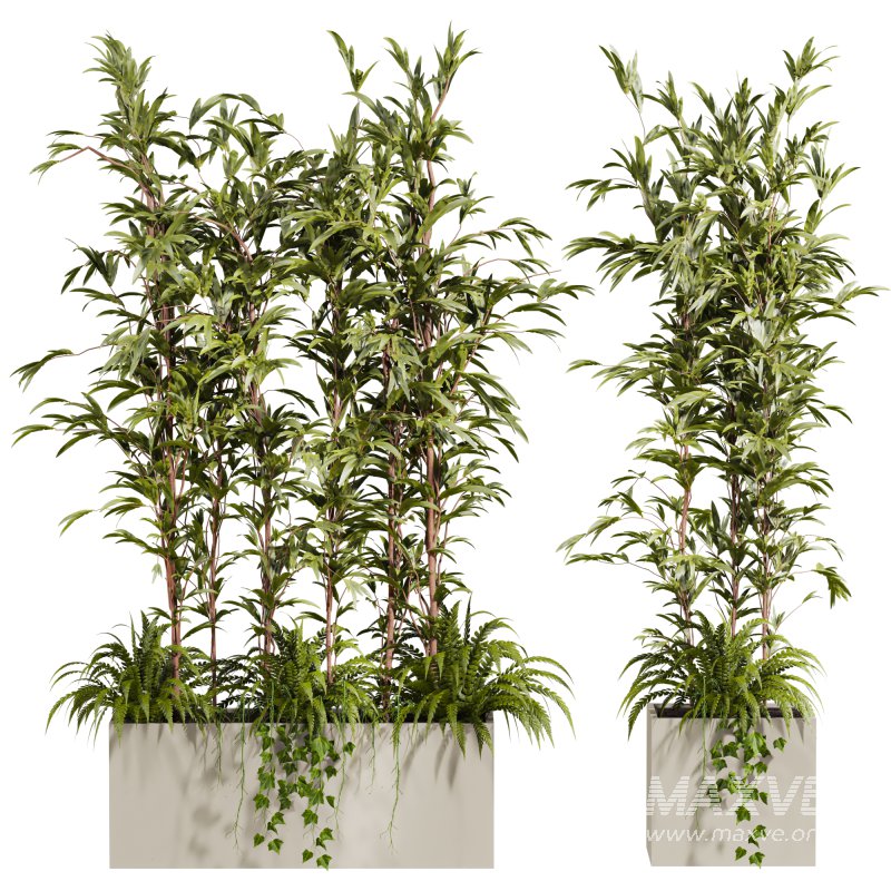 plants set - Image 1