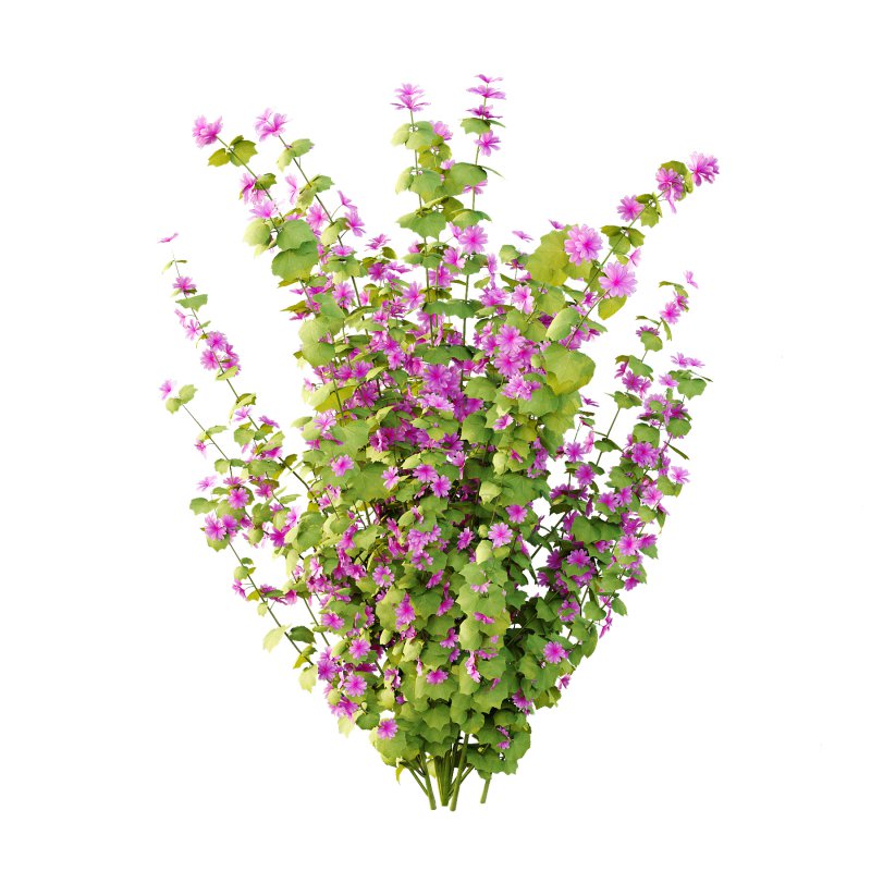 Different Grass 02 - Image 4