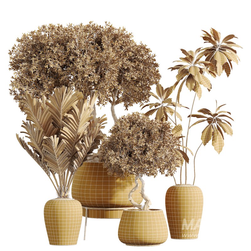 AV Indoor Plants Set 221 Mission Wilsonii and Palm Paradise and Ficus African Fig - Image 3