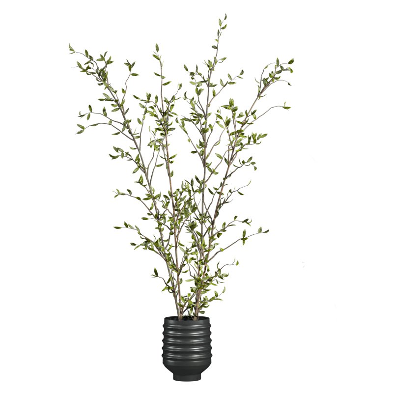 plants set - Image 1