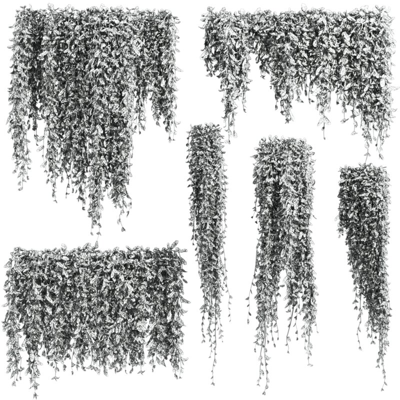 Plants_Set_167 - Image 1