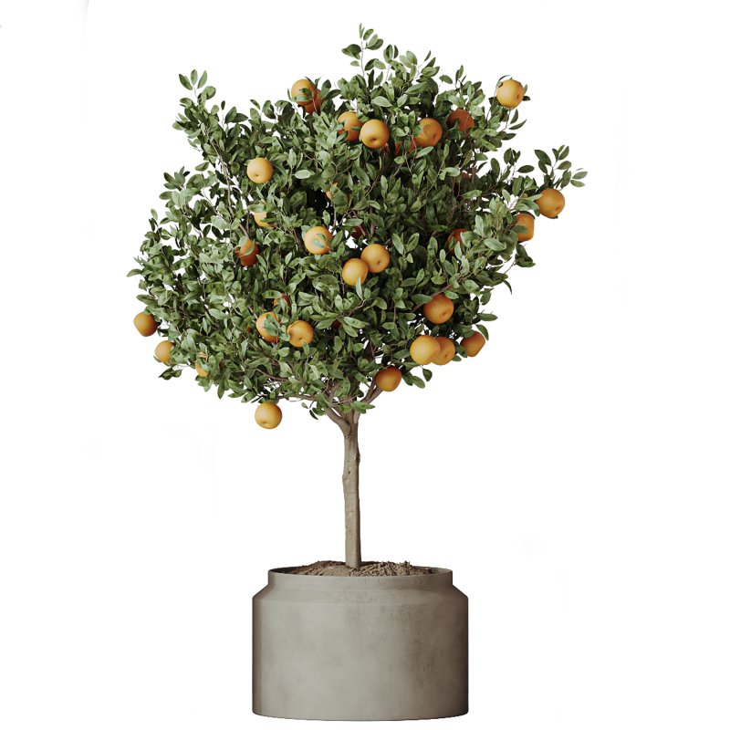 ntal, and fruit-bearing plants adds both texture and color variety to interior renders. - Image 4