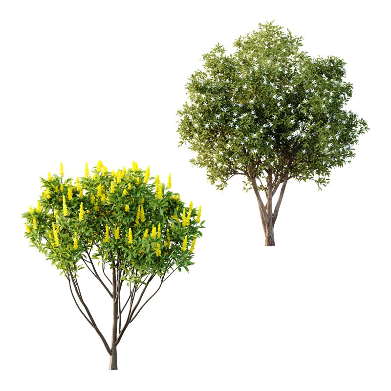 Different Trees 01 - Image 2