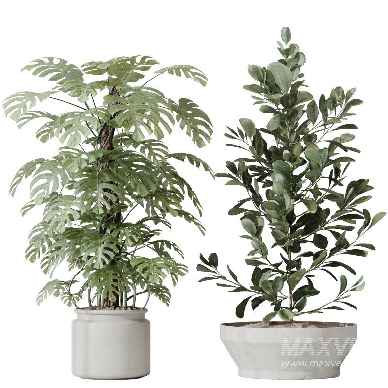 ntal olive—making this collection a visual statement for modern interior design. - Image 2