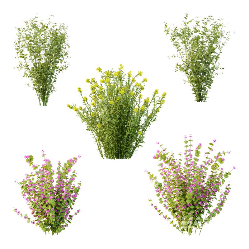 Different bush 17 - Image 2