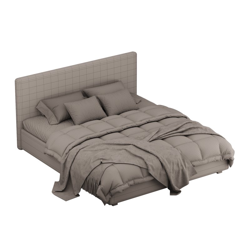 BED Beck Platform - Image 3